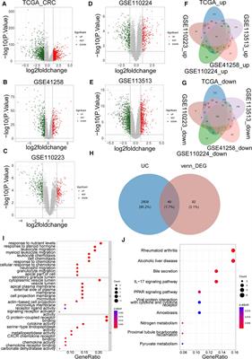 A novel prognostic model based on urea cycle-related gene signature for colorectal cancer